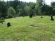 <div style='color:darkgreen;'><h7 style='color:darkgreen;'><b>Seal Cove Cemetery </b></h7>