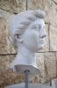 Roman Empress Livia Drusilla