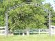 <div style='color:darkgreen;'><h7 style='color:darkgreen;'><b>Bronaugh Cemetery</B></h7>